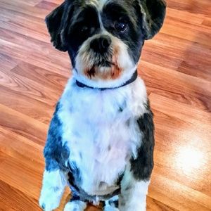 Meet your Posher, Sandy